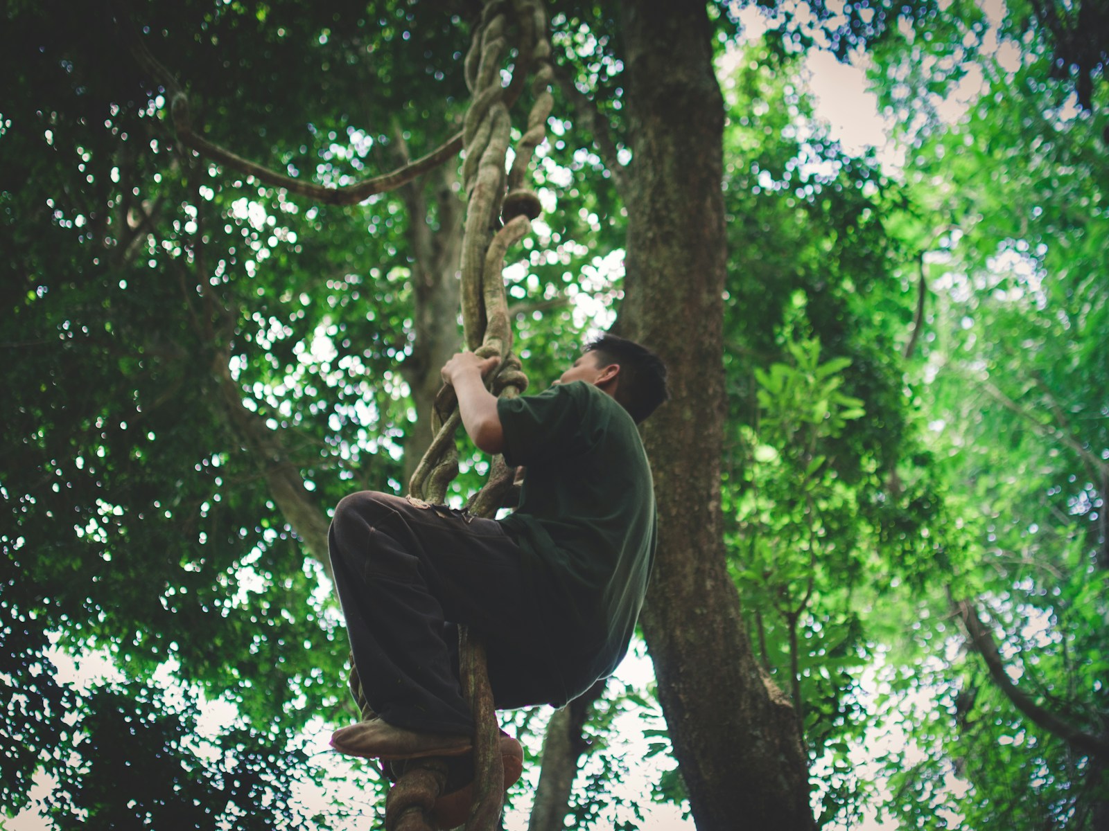 Arborist using a chainsaw to remove a tree safely